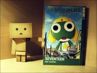 Danbo veut :