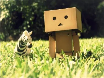  ct de quel animal est Danbo ?
