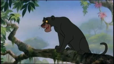Nom de la panthre dans le livre de la jungle ralis par Disney.