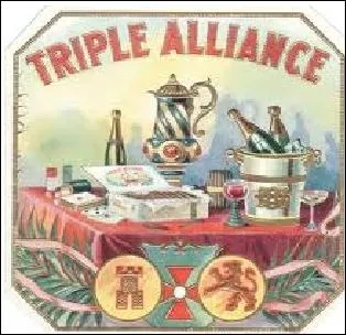 De quels pays tait compose principalement la triple alliance ?