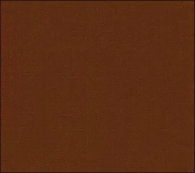 Quelle est cette couleur ? ( marron )