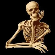 Quel est le plus petit os du corps humain ?