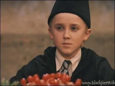 Harry Potter 2 - Pourquoi Drago est-il jaloux de Harry chez le libraire ?