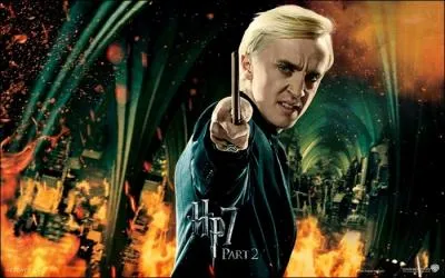 Harry Potter 7 (partie 2) - Que dtient Harry qui appartient  Drago et qu'il veut rcuprer ?