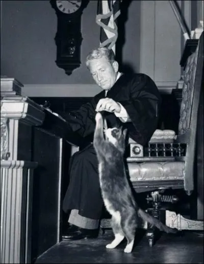 Est-ce un chat sur le plateau de tournage venu saluer la star qui s'en amuse, ou ce chat avait-il un rle dans le film ? Quel grand acteur joue avec lui ?