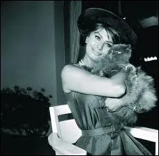 Ce trs joli chat  poils longs se fait caliner par la plus grande star italienne, qui est ?