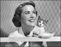 Ce tout petit chaton est aux cts de la grande star... ?