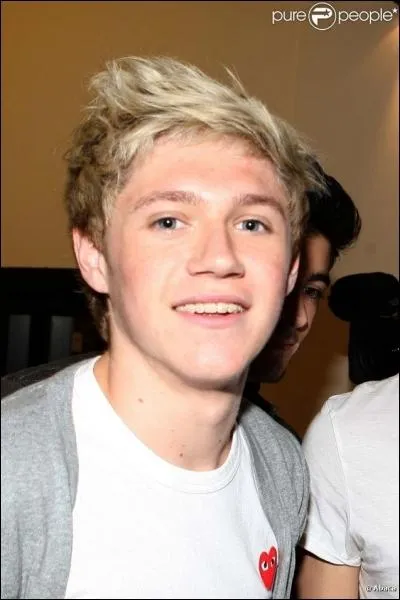Niall est blond, mais ses cheveux sont teints. De quelle couleur ses cheveux sont-ils normalement ?
