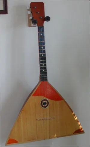 Quel est cet instrument de musique ?