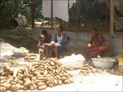 En Guyane, comment appelle-t-on la farine de manioc ?