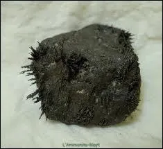 Quel est le nom de cette pierre ?