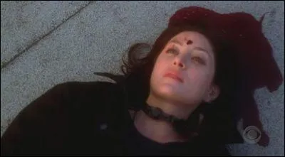 Qui a tu Caitlin Todd ?