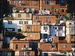 Comment appelle-t-on les bidonvilles au Brsil ?