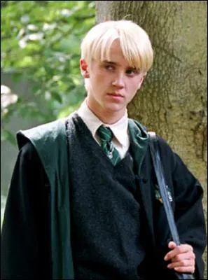 Harry Potter : Les reliques de la mort : partie 2, avec :