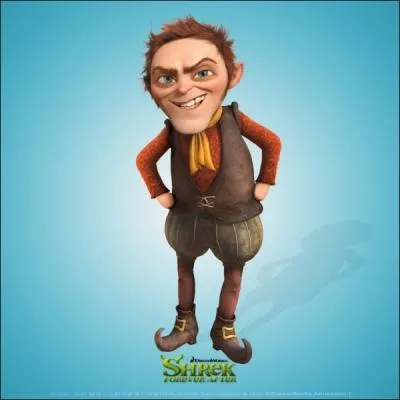 Shrek 4 : Il tait une fin, avec :