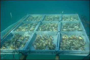 Qu'exerce-t-on quand on est aquaculteur ?