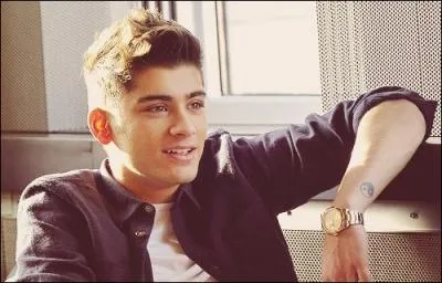 Zayn trouve une star masculine sexy; laquelle ?
