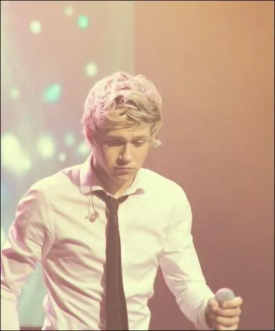 Niall aime les filles avec :