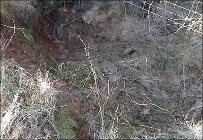 Avez-vous un oeil de lynx, y-a-t-il un veilleur ?