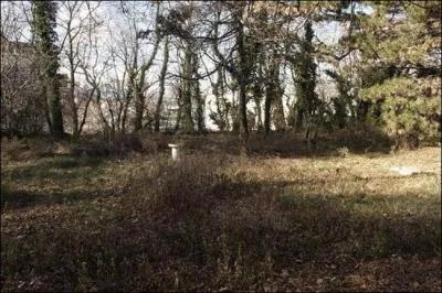 Sur cette photo, le veilleur est debout !