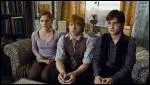 Que lgue Dumbledore  Hermione ?