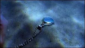 A qui est le collier trouv dans la grotte de Mako ?