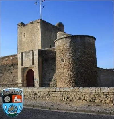 Ce donjon du XV me et ses fortifications du XVII me, dues par Vauban font de cette cit charentaise, un exemple de place forte seigneuriale du littoral atlantique :