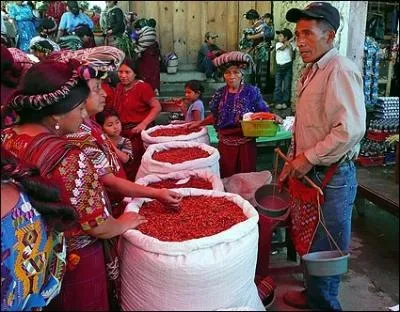 Quelle affirmation sur le Guatemala est vraie ?