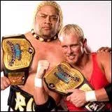 Combien de titres ont obtenus Scotty Too Hotty et Rikishi ?