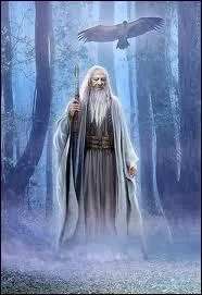 Cette fée demanda à Merlin de lui apprendre ses secrets. Lorsque ce fut fait, elle profita de son sommeil pour l'emprisonner pour toujours. Quel est son nom ?