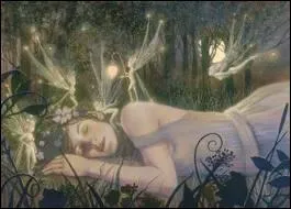 Que sont des ''cercles de fées'' ?