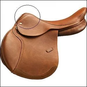 Quelle est cette partie de la selle ?