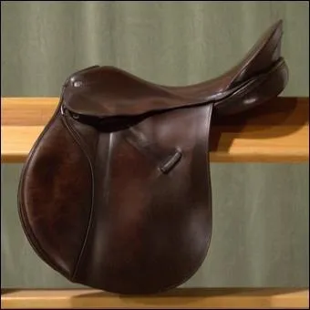 Ceci est une selle de :