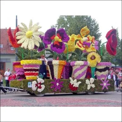 Un corso fleuri est un dfil de chars dcors avec des fleurs. Celui de Slestat, en Alsace, en est  sa 83me dition. Quelle fleur est-elle utilise pour la dcoration des chars ?