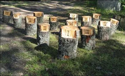 Quel jeu de plein air finlandais, fabriqu  partir de bois de bouleau, a pour but de marquer cinquante points en renversant des quilles ?