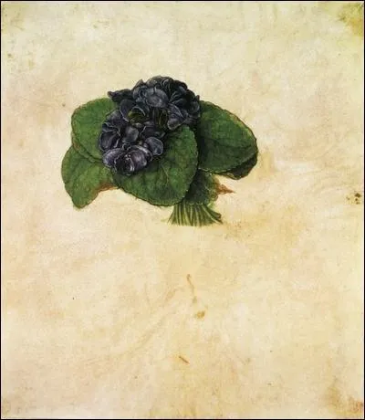 Bouquet de violettes