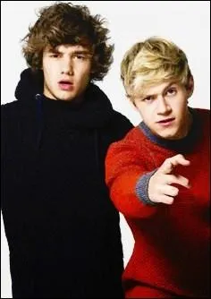 Pourquoi Liam aimerait-il tre Niall pour une journe ?