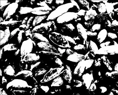 De quelle couleur la cardamome est-elle ?