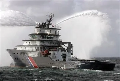 Childric Ier le pre de Clovis avait choisi cet animal car c'tait un symbole royal qui remontait aux Egyptiens. C'tait donc...