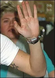 Harry a un tatouage sur le bras. Que signifie-t-il ?