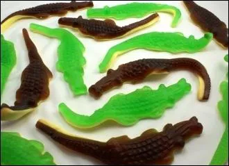 Quels sont ces animaux en bonbons ?