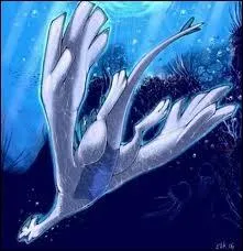 Quel est ce Pokmon ?