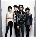  Brunes , dans le nom du groupe BB Brunes, fait rfrence  ...