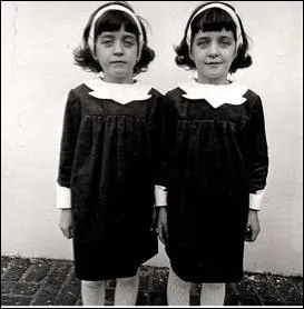 Qui a photographi ceci ?