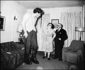 Qui a photographi ceci ?