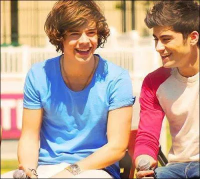 Qui a essay de former un groupe avant de passer devant les juges dans  The X Factor  ?