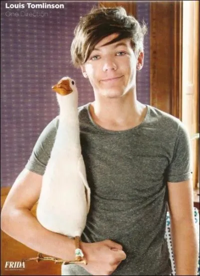 Qu'est-ce que Louis aime ramasser comme souvenirs dans les htels ?