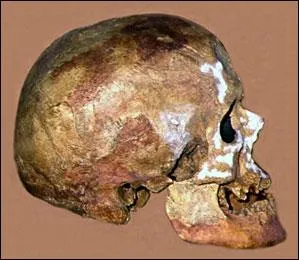 Le fossile d'homme prhistorique appel  l'homme de Cro-Magnon  a t dcouvert en Dordogne, dans la commune des Eyzies-de-Tayac. C'tait en quelle anne ?