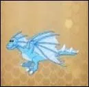 Quel ce dragon ?