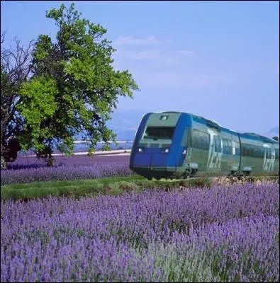 Le train de la Lavande est un train touristiques desservant de jolis villages provencaux tels que Sisteron et Forcalquier. Il va de ... .